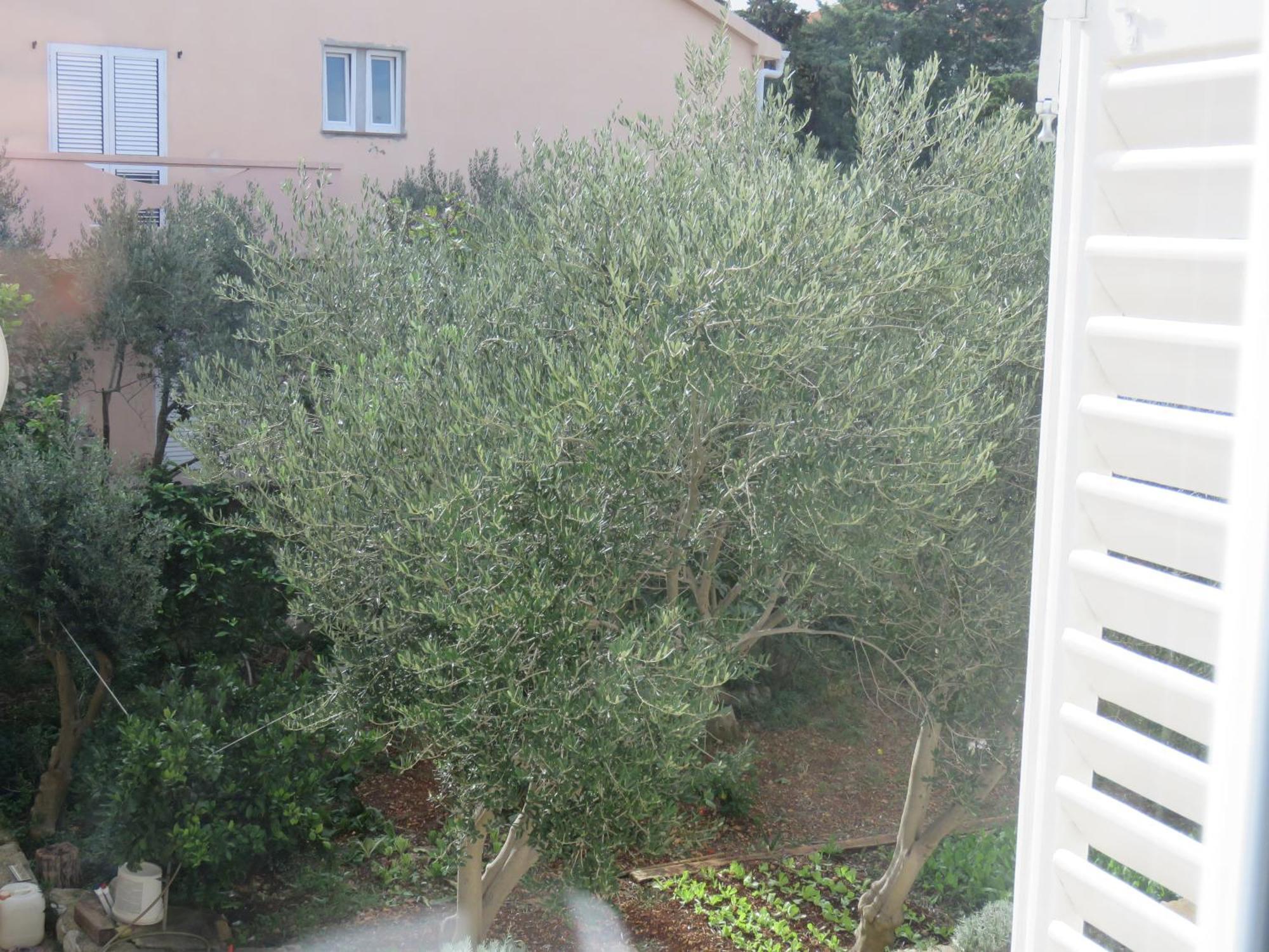 Guest House Miro Novalja Chambre photo